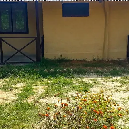 Bardiya Eco Safary Homestay Exterior photo