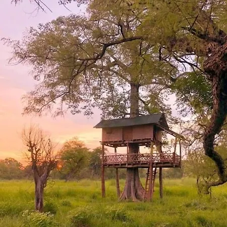 Bardiya Eco Safary Homestay Exterior photo