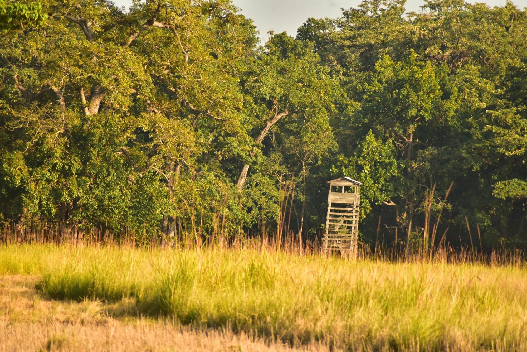 Homestay Eco Safary