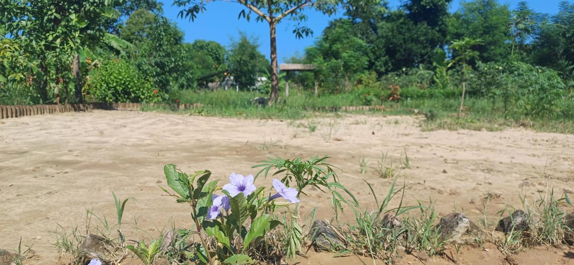 Homestay Eco Safary Bardiya