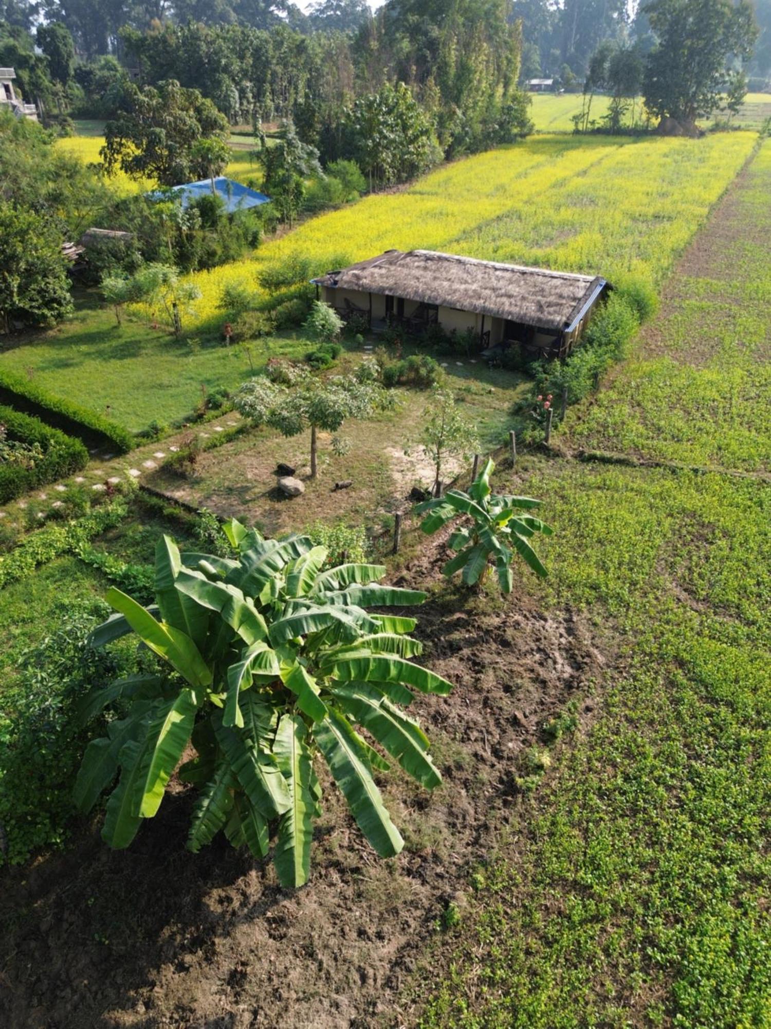 Eco Safary Homestay *